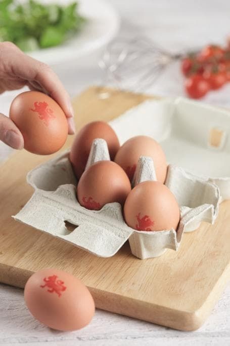 eggs-allergy-information-on-allergy-to-eggs-official-egg-info